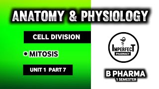 Cell Division  Mitosis  Somatic Cell Division  Human Anatomy And Physiology  HAP  B Pharma [upl. by Liva]