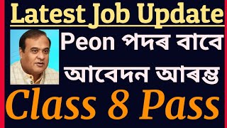 New Job Apply  Grade 4 Peon Post  Class 8 Pass December 2024 [upl. by Mckee108]