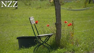 Daheim im Dorf  Sehnsucht nach Landleben Ausschnitt einer Dokumentation von NZZ Format [upl. by Namie]