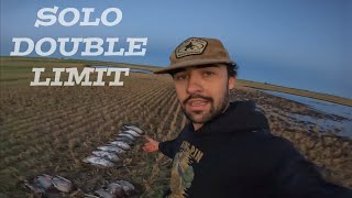 CRAZY SOLO DOUBLE Limit Duck amp Goose Hunting [upl. by Geraldine]