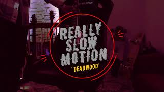 Really Slow Motion  Deadwood Guitar cover [upl. by Rennoc]