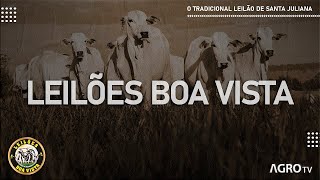 LEILÕES BOA VISTA AO VIVO  SANTA JULIANA  MG [upl. by Gamali]