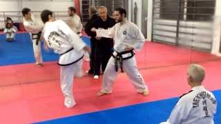 Master Vasilis Alexandris  ITF Taekwondo One step sparring [upl. by Imhsar18]