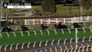 Flemington Jump Outs 22 Sep 2023 Jump Out 1 [upl. by Cirone380]