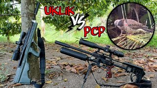 Duet PCP amp Uklik Bullpup‼️ Berburu di spot yang sangat melimpah [upl. by Monaco]