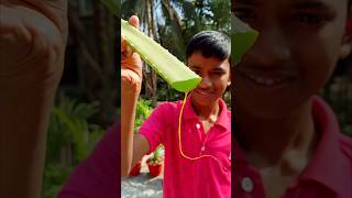 Lemon  Aloe Vera Mojito Tasty And Healthy Drink Recipe [upl. by Rockwell]