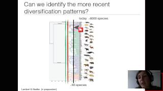 Inferring macroevolutionary processes based on phylogenetic trees [upl. by Schaaff]