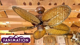 Fanimation “Belleria” Ceiling Fan [upl. by Atirres756]