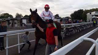 Racing Listowel 24 September 2024 [upl. by Audras176]