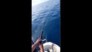 fishing Montenegro adriatic sea shark [upl. by Nedarb]