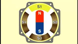 Basic Structure and Operating Principle of Stepper Motors [upl. by Naol69]