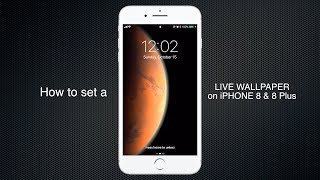 How to set Live wallpaper on iPhone 8 8 plus 7 7 plus 6S amp 6S plus [upl. by Kilroy]