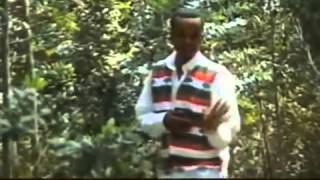 Daadhii Galaan Yaa Ejersa Oromo Music [upl. by Maunsell419]