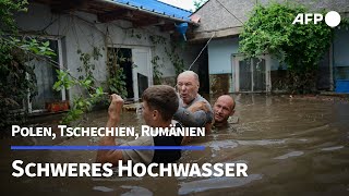 Schwere Überschwemmungen in Polen und Tschechien  AFP [upl. by Mile781]