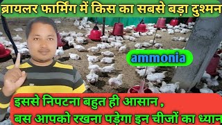 broiler farmer ka sabse bada Dushman kaun si gas hoti hai ammonia gas se chhutkara kaise payen [upl. by Trovillion555]