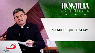 Homilia de 1 minuto “Senhor que eu veja” [upl. by Melise952]