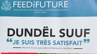 🛑🛑Casamance Plus de 600000 Ha de terre sont affectées par le Sel [upl. by Lenhard]