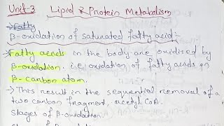 Lipid and Protein Metabolism Unit 3 Semester 4 paper 10 bsczoology biochemistry [upl. by Sitoeht]