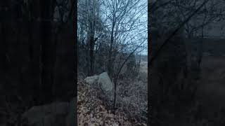 Reconnoitering The Land of the Black Bear Sterling Forest NY State Park [upl. by Claribel]