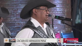 Los Arcos Hermanos Peña quotNunca Supe Quéquot [upl. by Nesnah]