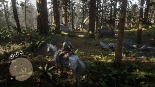 Red Dead Redemption 2  All 2 Gang Camps of The Skinner Brothers [upl. by Morra435]