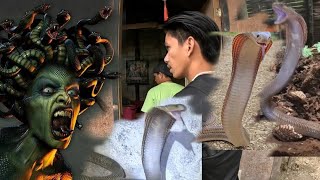 TATLONG COBRA SA BAHAY NI MEDUSA [upl. by Barger]