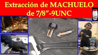 EXTRACCION DE MACHUELO Consejos para evitar que se rompa un macho y un TIP de como sacarlo [upl. by Eipper695]