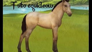 Tuto Equideow comment gagner des pass [upl. by Hettie]