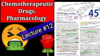 Chemotherapeutic drugs pharmacology lecture12 chapter 45 AMINOGLYCOSIDES [upl. by Yorick178]