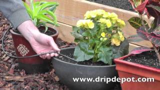 How to Setup a Drip Irrigation System for Potted Plants Using Microtubing [upl. by Sanford541]