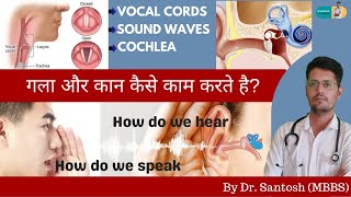 Sound production by vocal cords sound wave transmission via air amp hearing function of human ear [upl. by Olive]