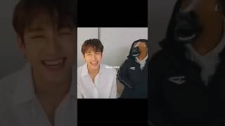 Kpop idols funny moments part 2 😂funnymoments kpopidols kpop kpopfunnymoments kpopfunny [upl. by Tnelc736]