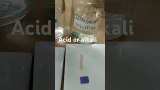 Acid or alkali [upl. by Bertero921]