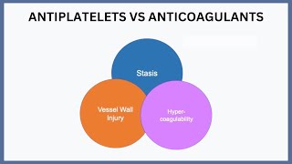 Antiplatelets vs Anticoagulants Explained [upl. by Aisauqal11]