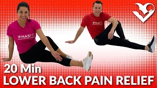 Exercises for Lower Back Pain Stretches  Stretching for Lower Back Pain Relief  Low Back Workout [upl. by Htebazileyram6]