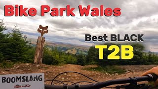 Bike Park Wales  Best Black Top to Bottom [upl. by Ahsinrat]