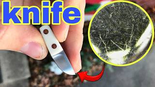 Microscopic Comparison Small Folding Knife vs Pocket Knife [upl. by Eneryt]