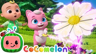 Big and Small  NEW 🪷 CoComelon Animal Time  Animals for Kids [upl. by Gnouh]