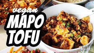 VEGAN MAPO TOFU RECIPE  Marys Test Kitchen [upl. by Leummas705]