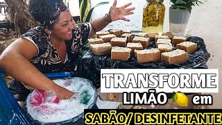 Receitas Sabão de limão e Desinfetante com cascas de limão [upl. by Michiko377]