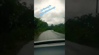 Enjoying Monsoon on the way to Kukke Subrahmanya shorts travel longdrive karnataka [upl. by Marchelle]