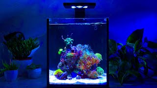 How to set up a Nano 16 Gallon Reef Tank nuvo16 [upl. by Ehlke]