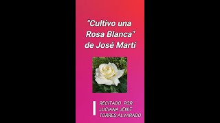 Poema quotCultivo una rosa blancaquotActividad escolar [upl. by Ahseenat859]