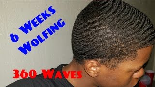 360 Waves 6 Weeks Wolfing [upl. by Mairem992]