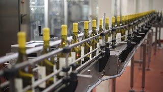 Journey on the Bottling Line  Russian River Chardonnay  Jordan Vineyard amp Winery [upl. by Arriet]