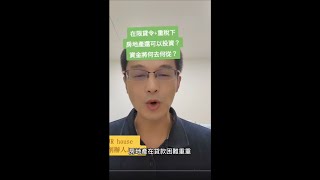 在限貸令＋重稅下房地產還可以投資？資金將何去何從？ [upl. by Aiel567]