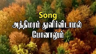 Athimaram Thulir vidamal  அத்திமரம் துளிர்விடாமல்  TAMIL CHRISTIAN SONGS [upl. by Ursal]