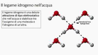 La struttura dellacqua e il legame a idrogeno [upl. by Immaj]