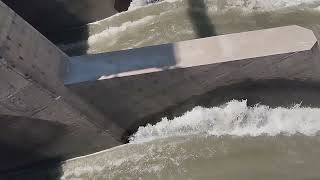 hydropower dam visit spillway gates operation hydraulically [upl. by Claiborne]