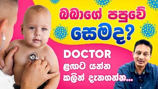 බබාගේ පපුවේ සෙමද කලින්ම දැනගන්න pneumonia and lower respiratory tract infection in children [upl. by Burack153]